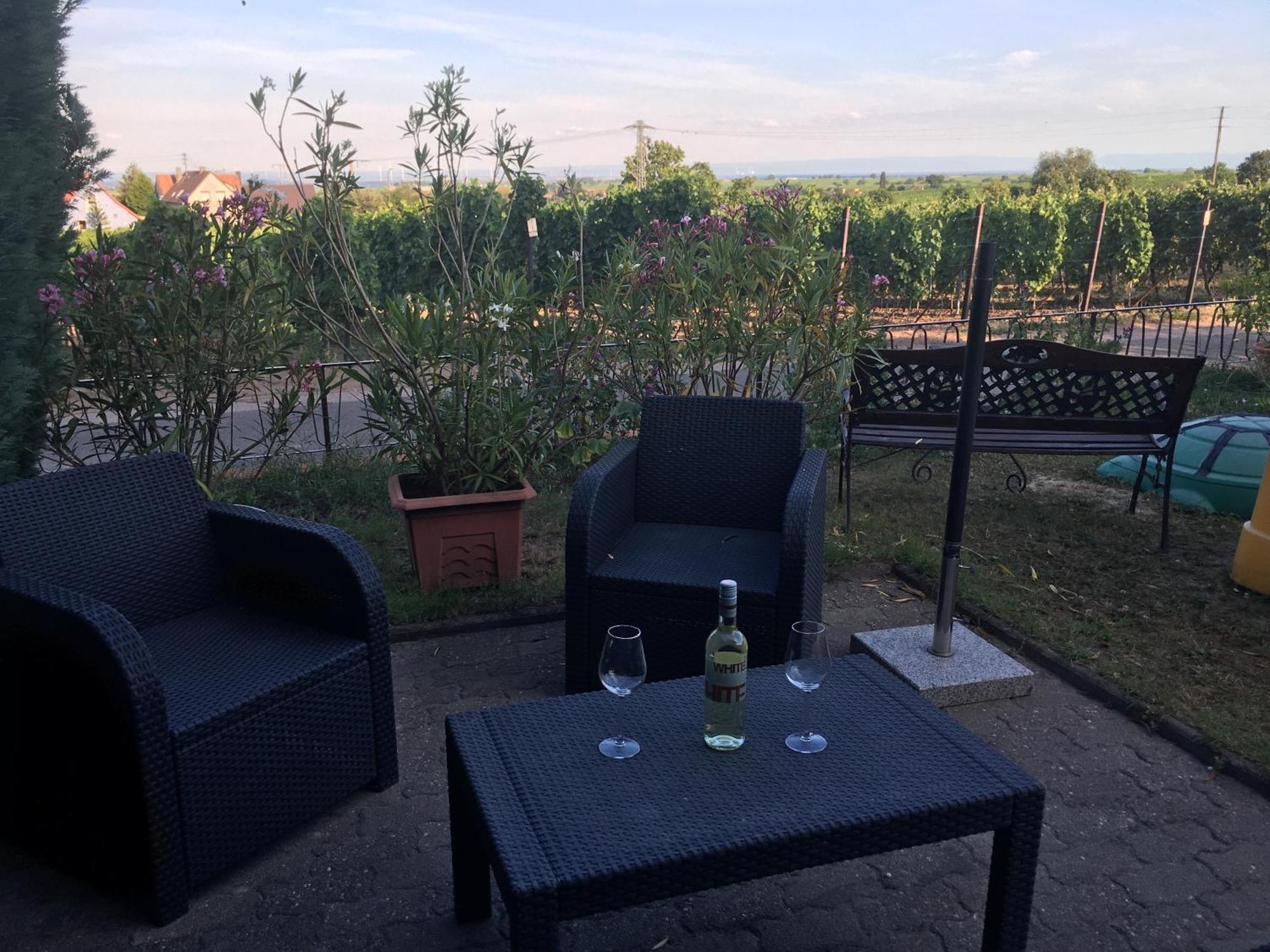 בורוויילר Ferienwohnung Suedpfalzblick מראה חיצוני תמונה