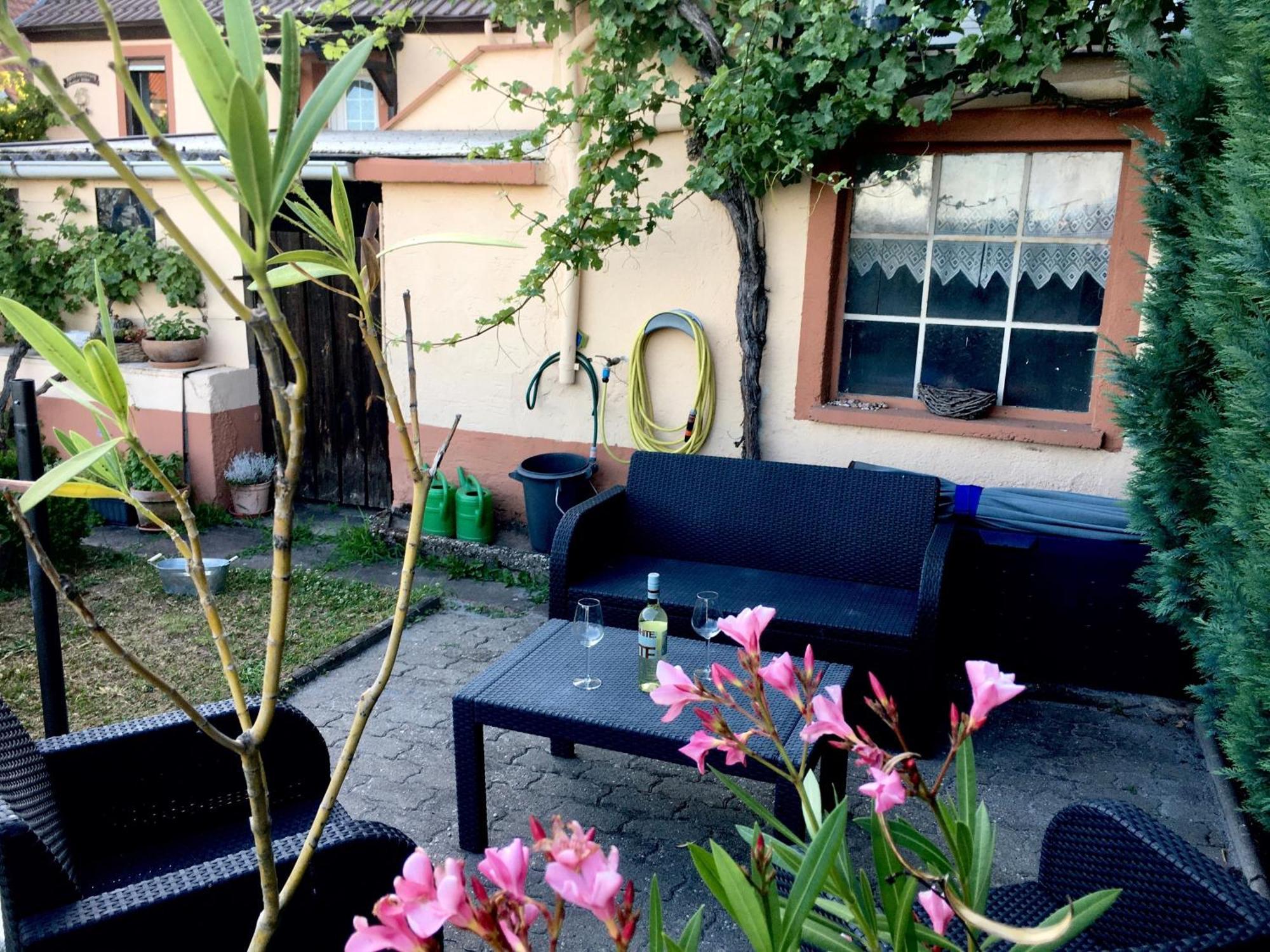 בורוויילר Ferienwohnung Suedpfalzblick מראה חיצוני תמונה